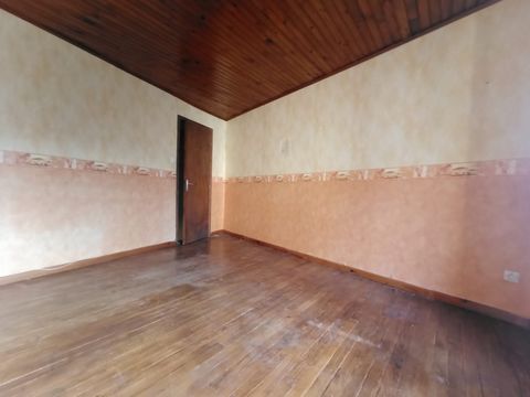 photo no. 9