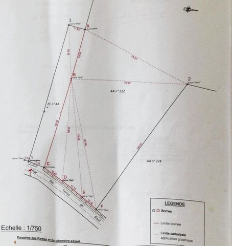 photo no. 1