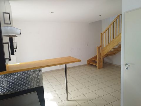 photo no. 4
