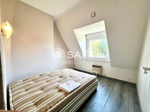photo no. 19