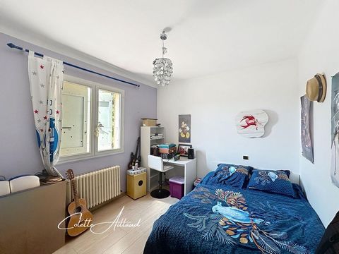 photo no. 6