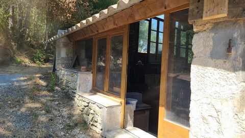 photo no. 12