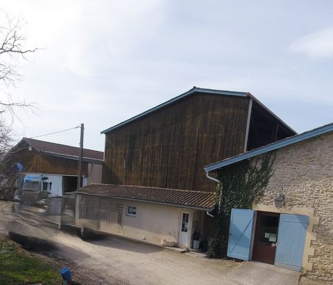AXE LANGON / BAZAS - BATIMENTS DE STOCKAGE ET D&#39;EXPLOITATION - CHAIS AVEC MATERIEL VITICOLE
