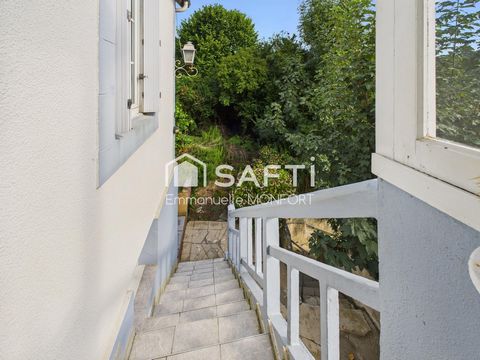 photo no. 11