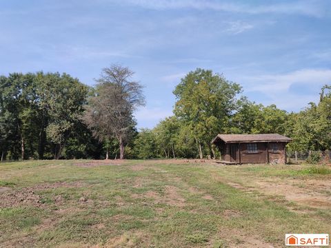 photo no. 4