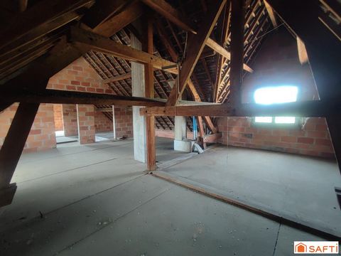 photo no. 19