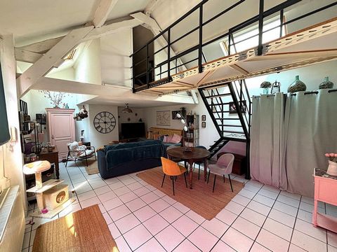 Hypercentre de Bourge, loft de 65 m2 avec parking + terrasse