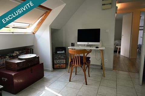 photo no. 19