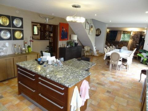 photo no. 8