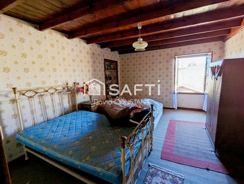 photo no. 13