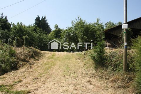 photo no. 10