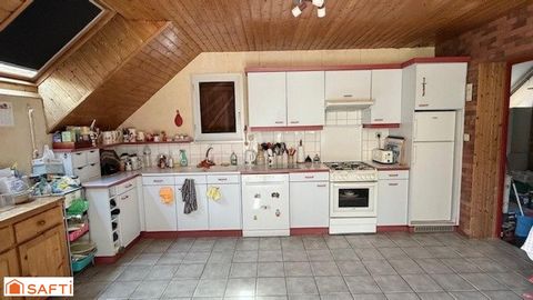 photo no. 5