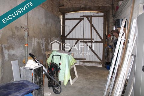 photo no. 12