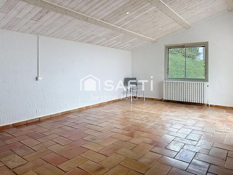 photo no. 6