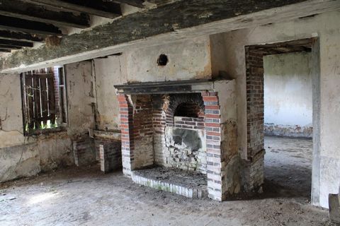 photo no. 6