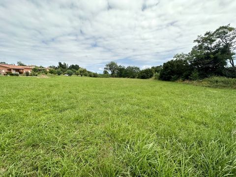 photo no. 4