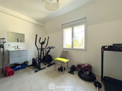 photo no. 11