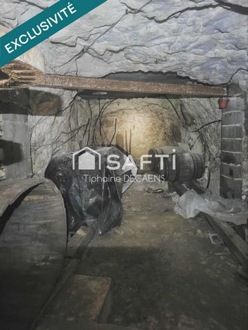 photo no. 6