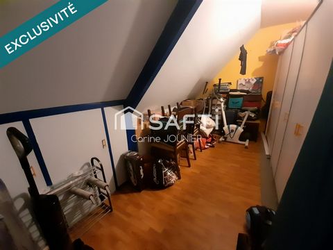 photo no. 13