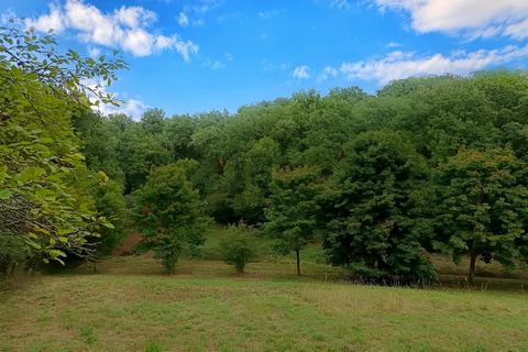 Terrain naturel agricole de 3,38 hectares