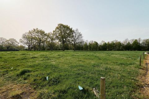 photo no. 3