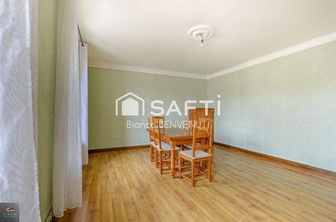 photo no. 6