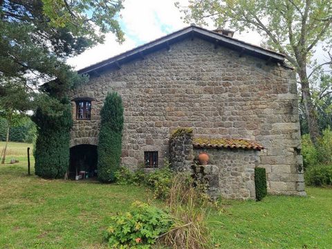 photo no. 14