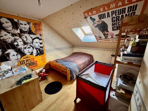 photo no. 12