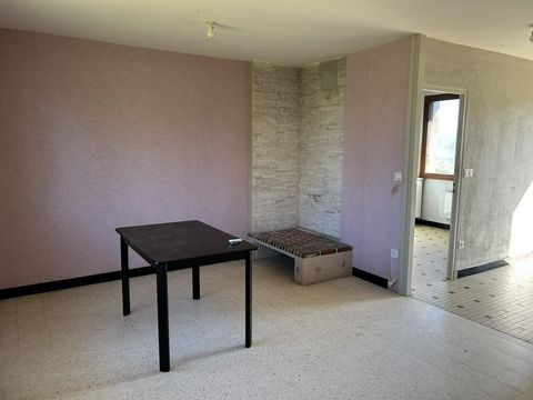 photo no. 7