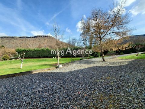 photo no. 9