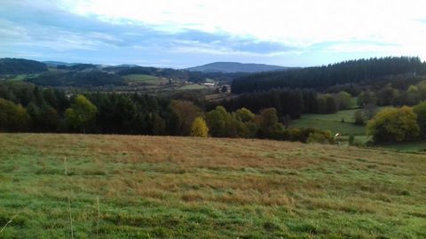 photo no. 3