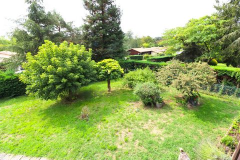 photo no. 22
