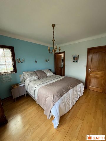 photo no. 12