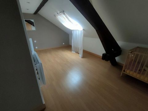 photo no. 11