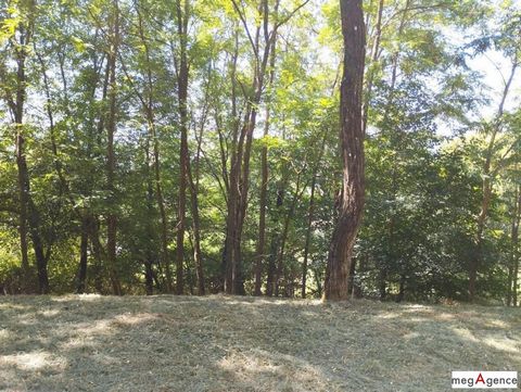 photo no. 6