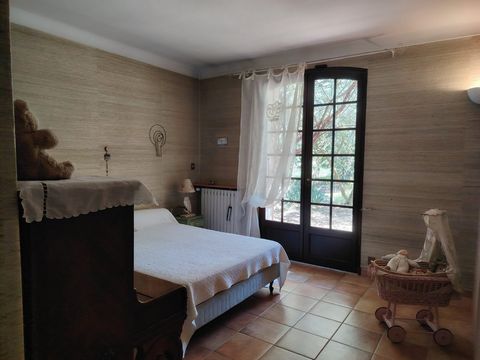 photo no. 12