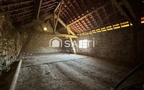 photo no. 2