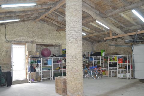 photo no. 12