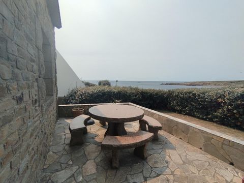 photo no. 3