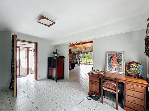 photo no. 10