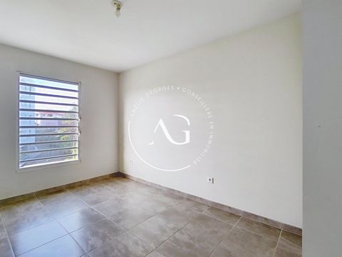 photo no. 6