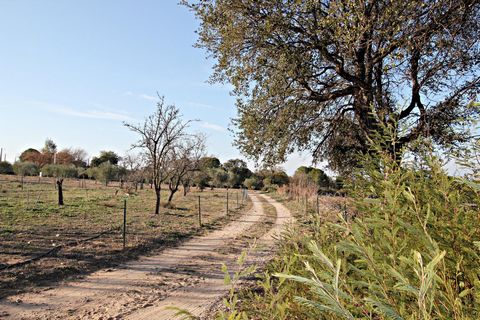 photo no. 19