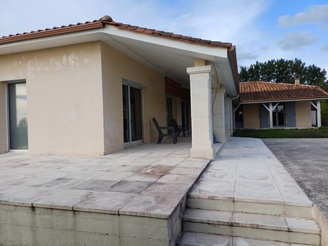 photo no. 10