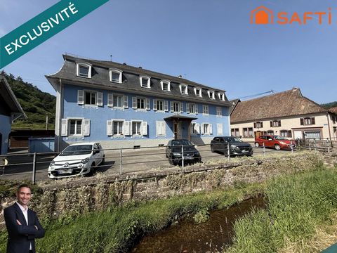 photo no. 12