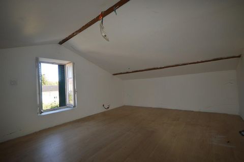 photo no. 9