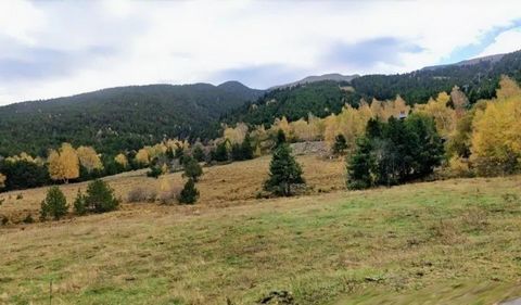photo no. 3