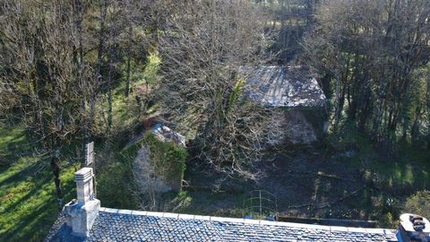 photo no. 2