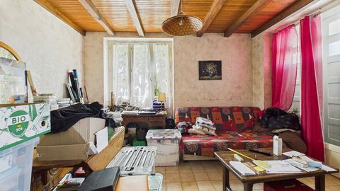 photo no. 12