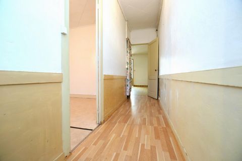 photo no. 7