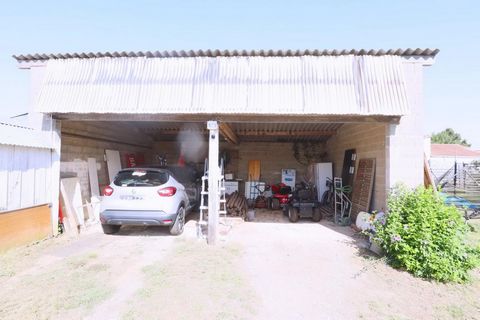 photo no. 12